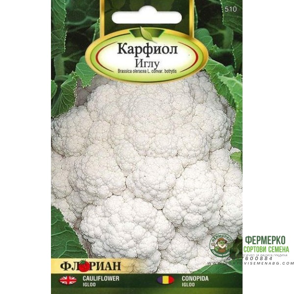 Карфиол Неаполитански гигант