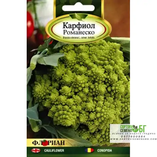 Карфиол Романеско