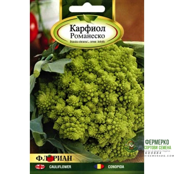 Карфиол Романеско