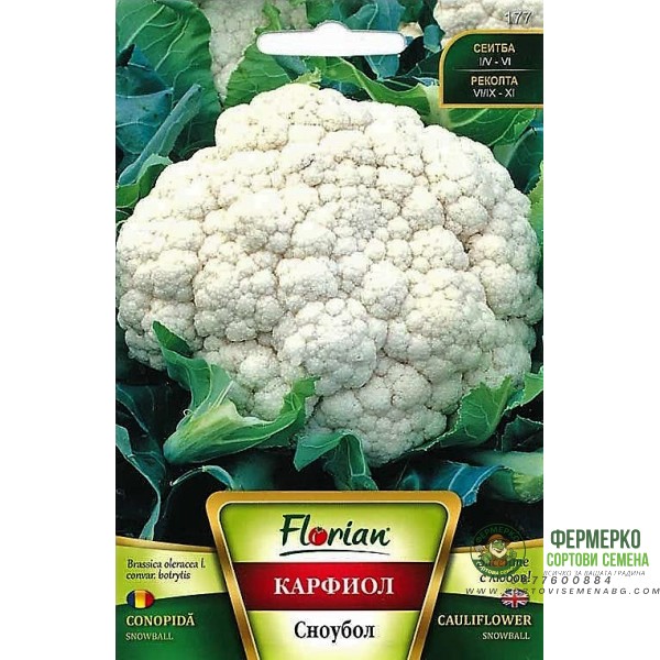 Карфиол Сноубол