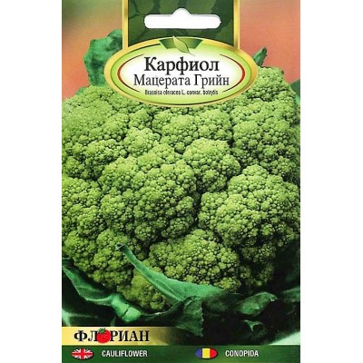 Карфиол Мацерата Грийн
