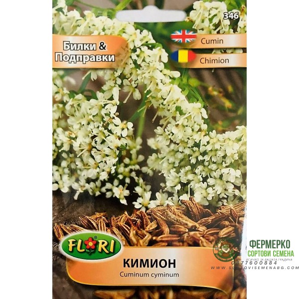Кимион - Cuminum cyminum