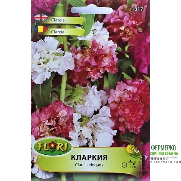 Семена за Кларкия (Сlarcia elegans)