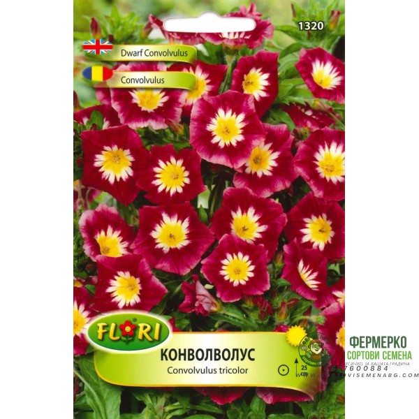 Конволволус (Поветица)