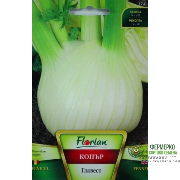 Главест копър