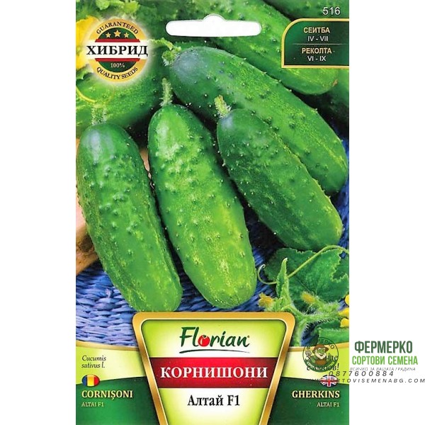 Корнишони Алтай F1