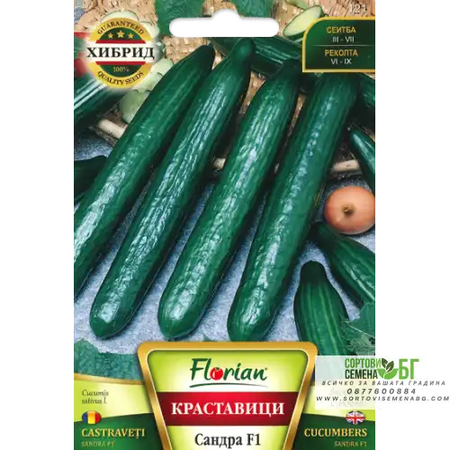 Краставици Сандра F1