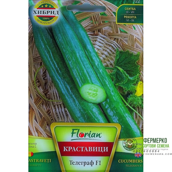 Краставици Телеграф F1