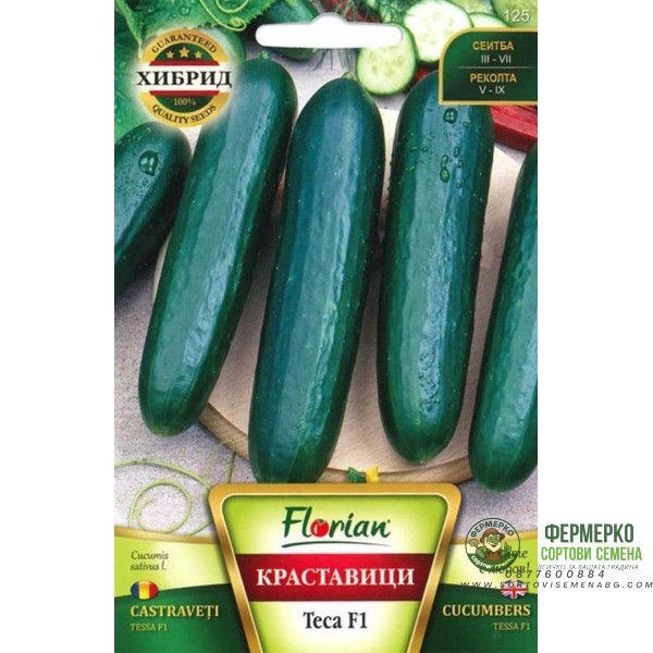 Краставица Теса F1