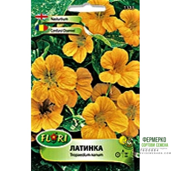 Латинка ниска Аляска