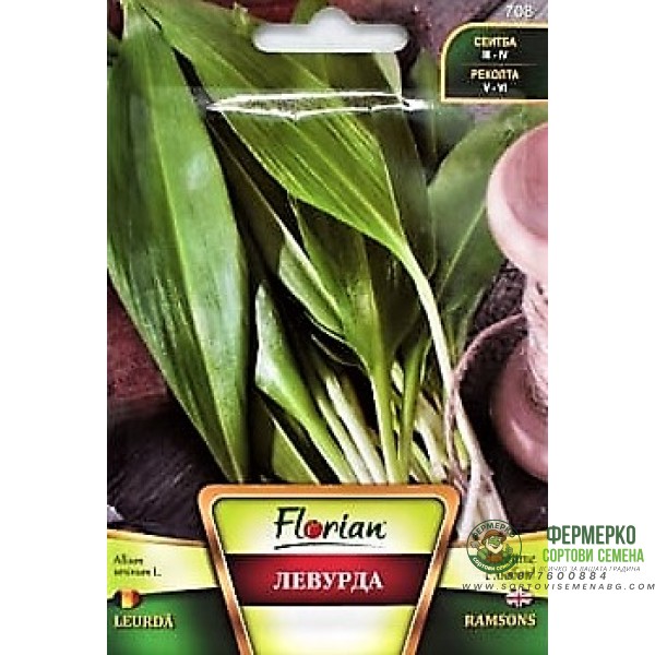 Левурда (див лук)