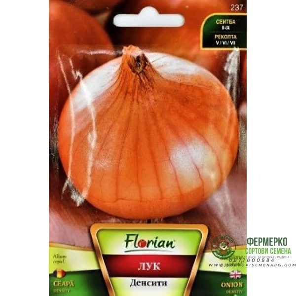 Лук Денсити (тип Испанска каба)