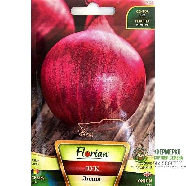 Лук Лилия (тип Асеновградска каба)