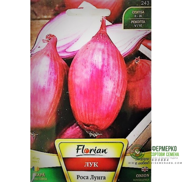 Лук Роса лунга