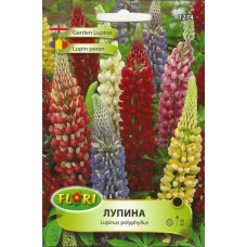 Лупина Микс Lupinus poliphyllus