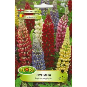 Лупина Микс / Lupinus poliphyllus