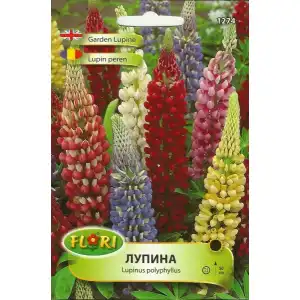 Лупина Микс / Lupinus poliphyllus