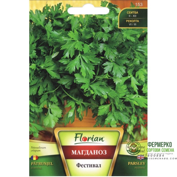 Магданоз - Фестивал