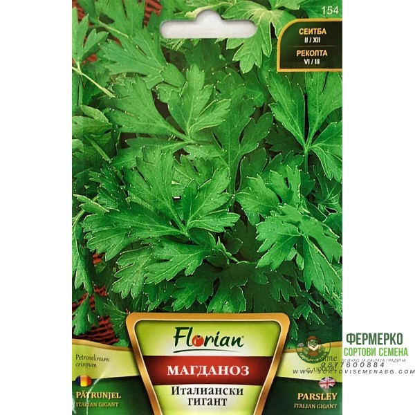 Магданоз Италиански гигант