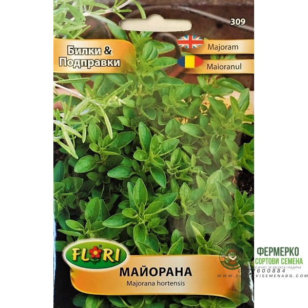 Майорана Majorana hortensis