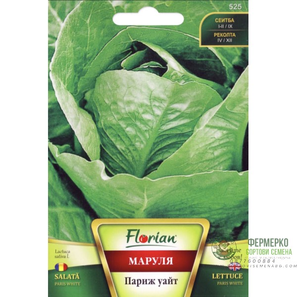 Маруля Париж Уайт (светло зелена)
