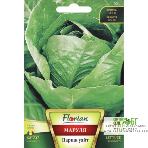 Маруля Париж Уайт (светло зелена) Маруля Париж Уайт (светло зелена)