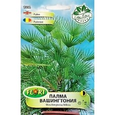 Палма Вашингтония Washingtonia filifera
