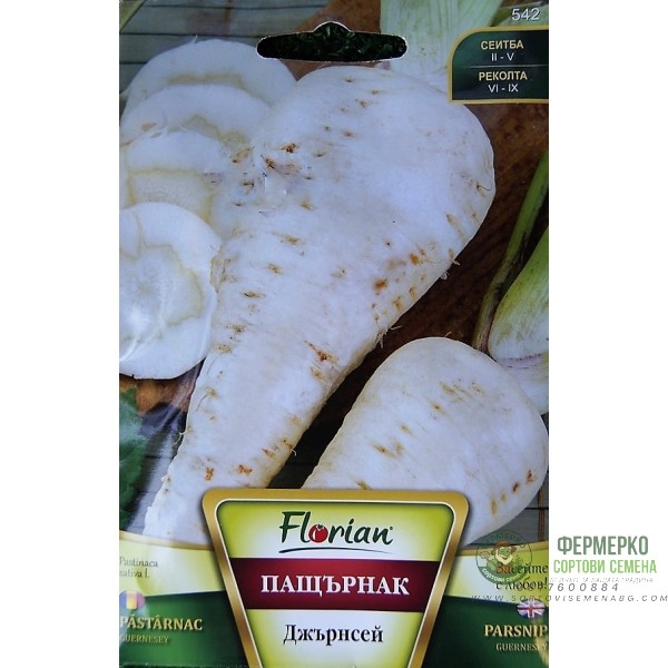 Пащърнак Джърнсей