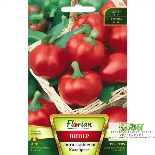 Пипер Люти камбички Калабрезе Пипер Люти камбички Калабрезе