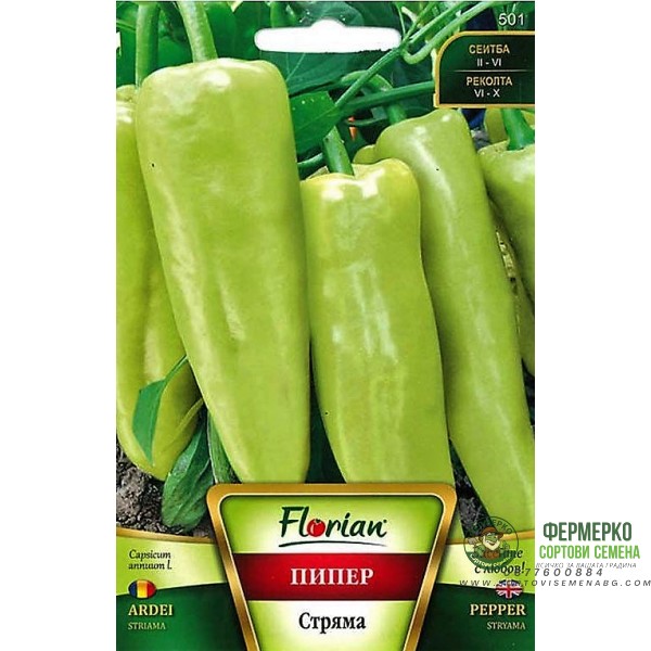 Пипер Стряма