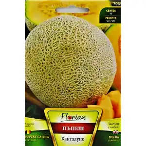 Пъпеш Канталупо