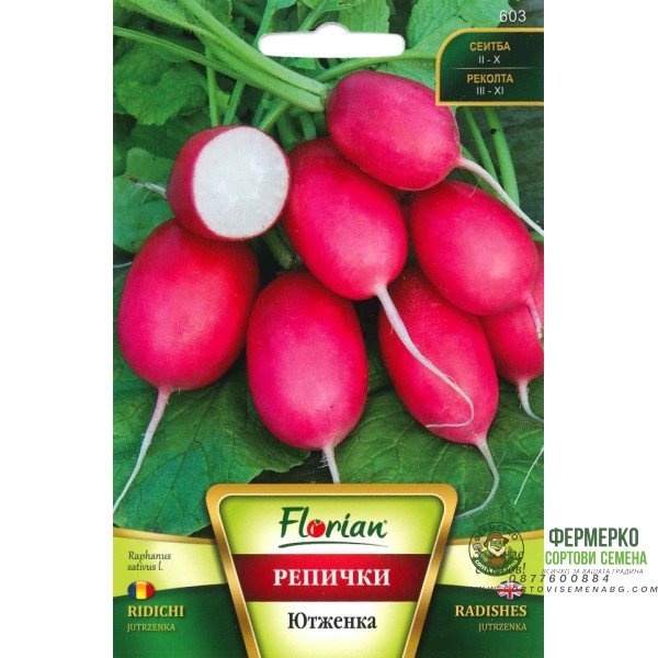 Репички Ютженска