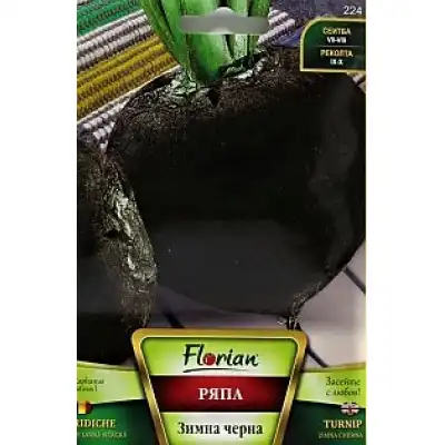 Ряпа зимна черна