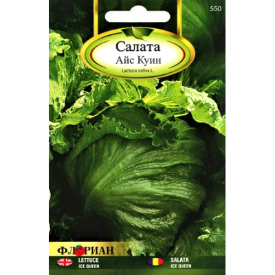 Салата Айс куин (тип айсберг)