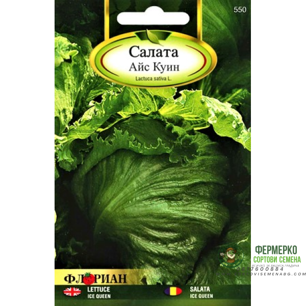 Салата Айс куин (тип айсберг)