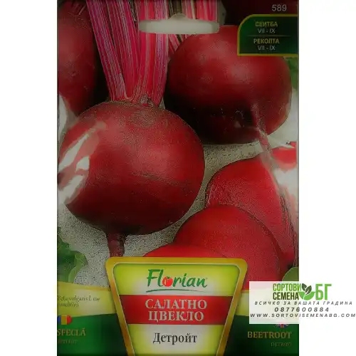 Салатно цвекло Детройт