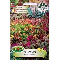 Седум (Тлъстига) микс Sedum spectabile mix