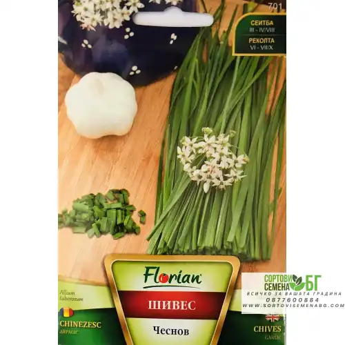 Шивес чеснов Шивес чеснов