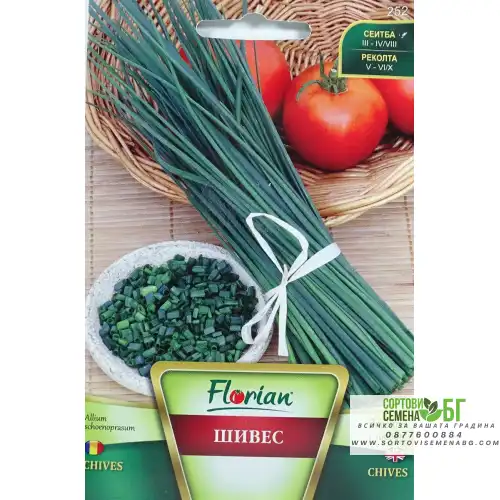 Шивес - лук