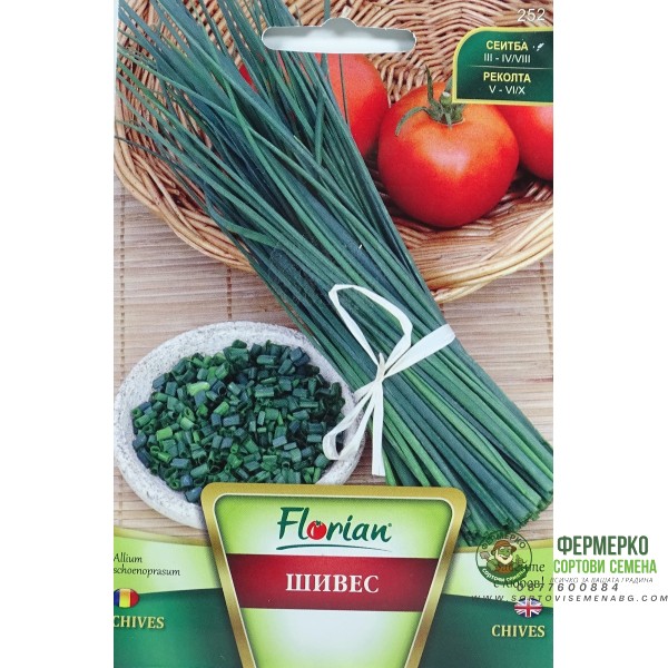 Шивес - лук