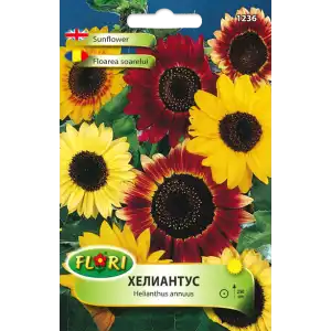 Хелиантус (Слънчоглед) микс