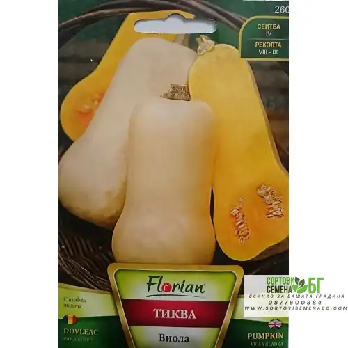 Тиква Виола гладка