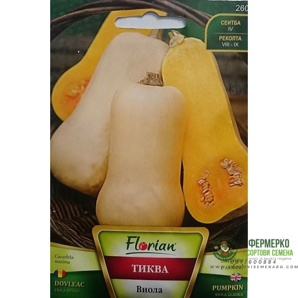 Тиква Виола гладка