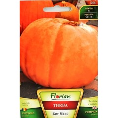 Тиква Биг Макс - гигант