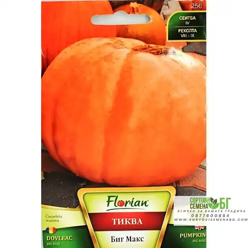 Тиква Биг Макс - гигант Тиква Биг Макс - гигант
