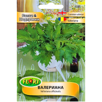 Валериана / Valeriana officinalis