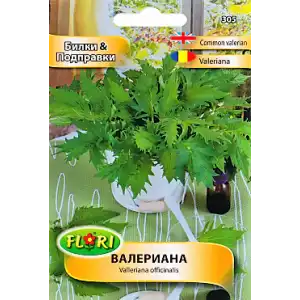 Валериана / Valeriana officinalis