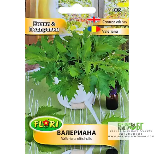 Валериана / Valeriana officinalis Валериана / Valeriana officinalis