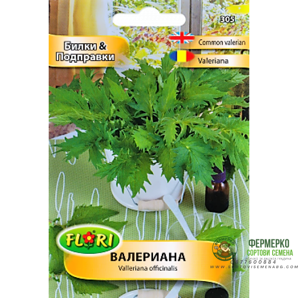 Валериана Valeriana officinalis
