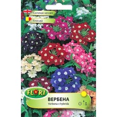 Вербена микс